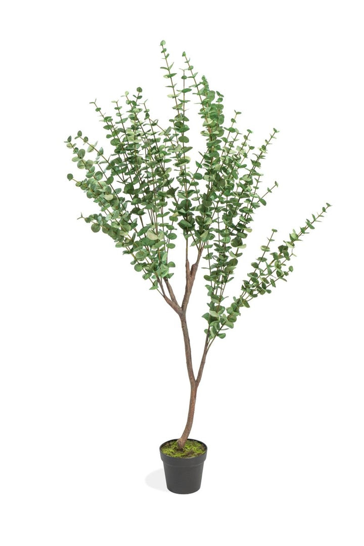 Pianta Artificiale Eucalipto Deluxe in vaso h140cm