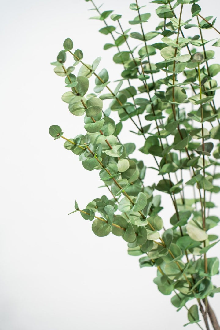 Pianta Artificiale Eucalipto Deluxe in vaso h140cm