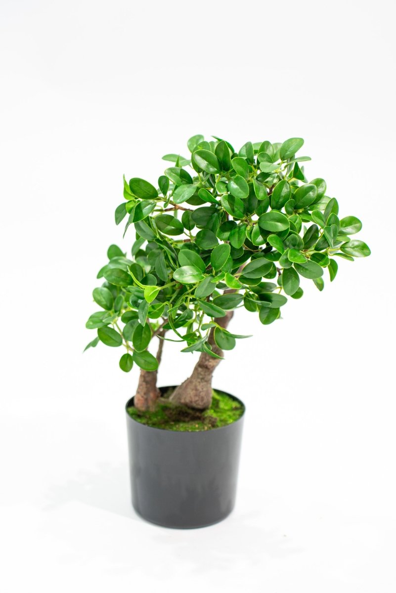 Pianta realistica in vaso Bonsai Banyan h45cm