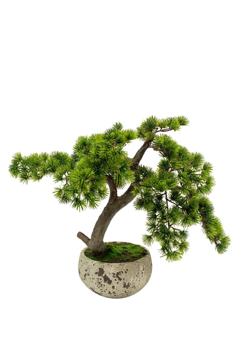 Pino Bonsai artificiale in vaso di cemento h50 cm