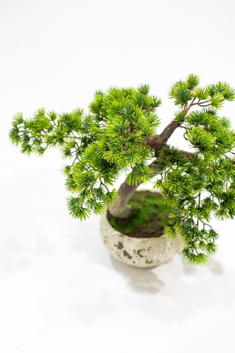 Pino Bonsai artificiale in vaso di cemento h50 cm