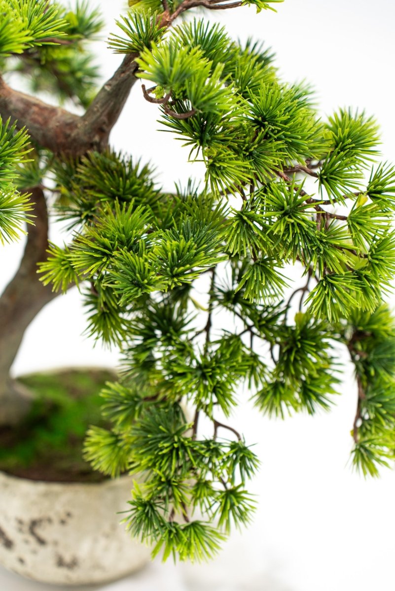 Pino Bonsai artificiale in vaso di cemento h50 cm