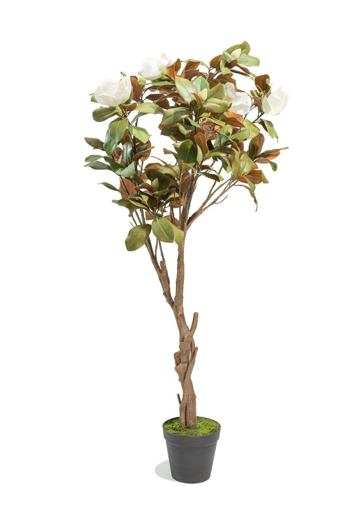 Albero artificiale realistico Magnolia Deluxe h210 cm