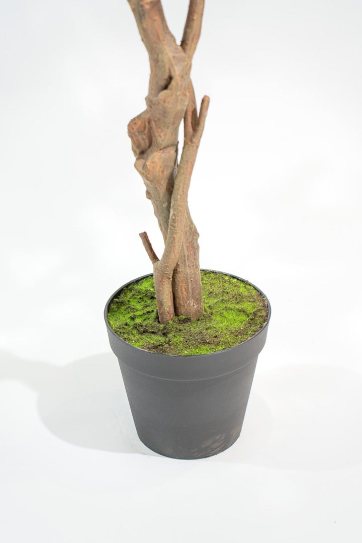 Albero artificiale realistico Magnolia Deluxe h210 cm