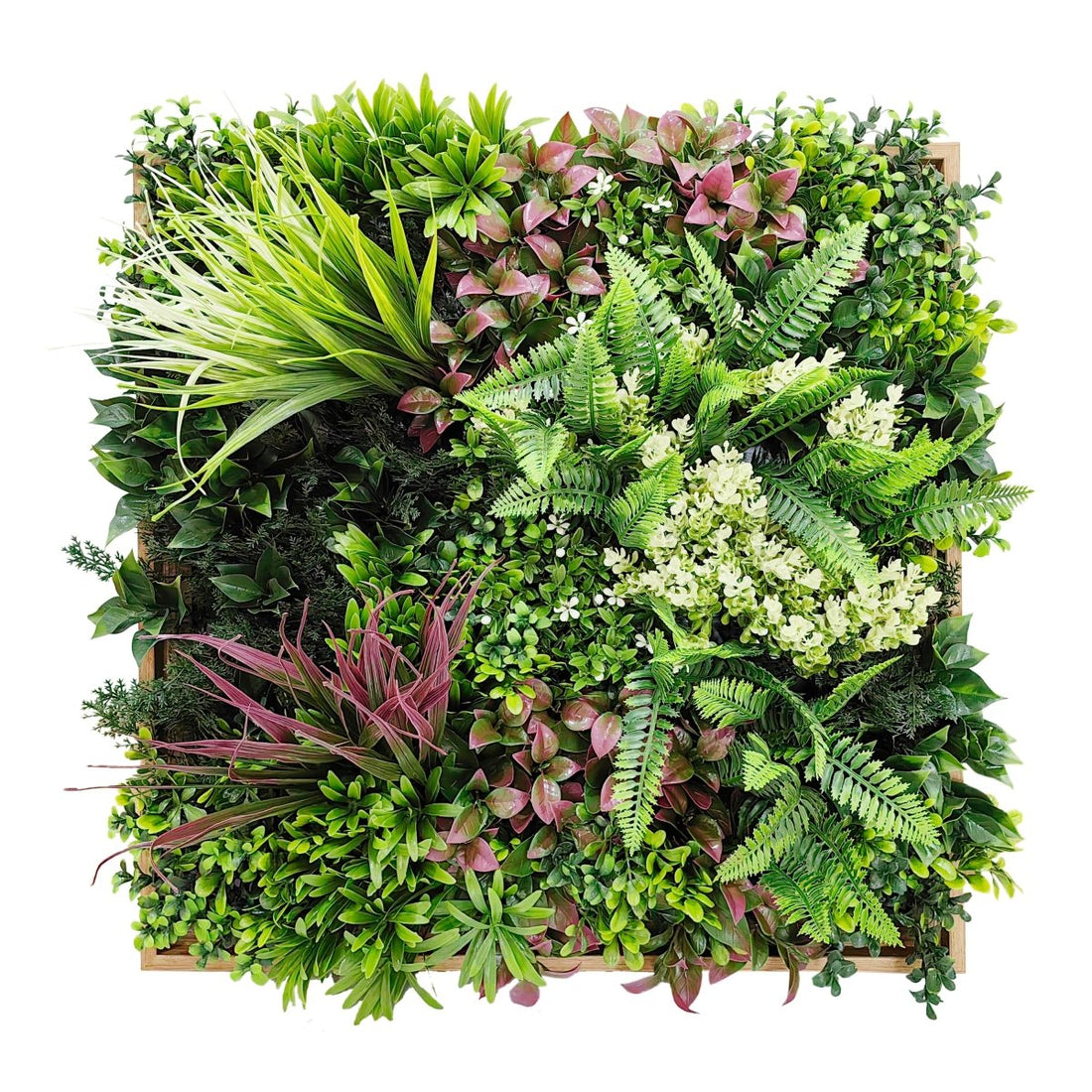 Siepe Quadro Verde Artificiale Decorativo Summer Frame 50x50cm | Xone