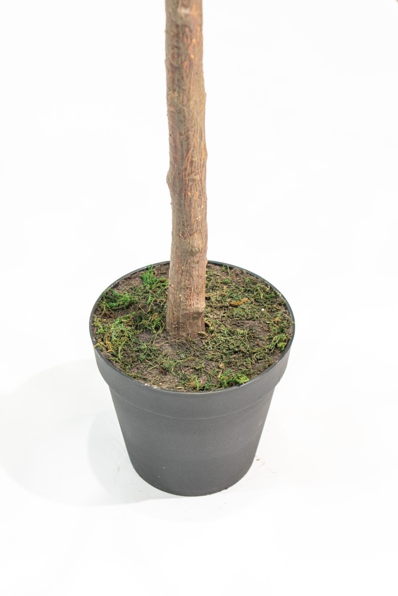 Pianta artificiale Shady Lady