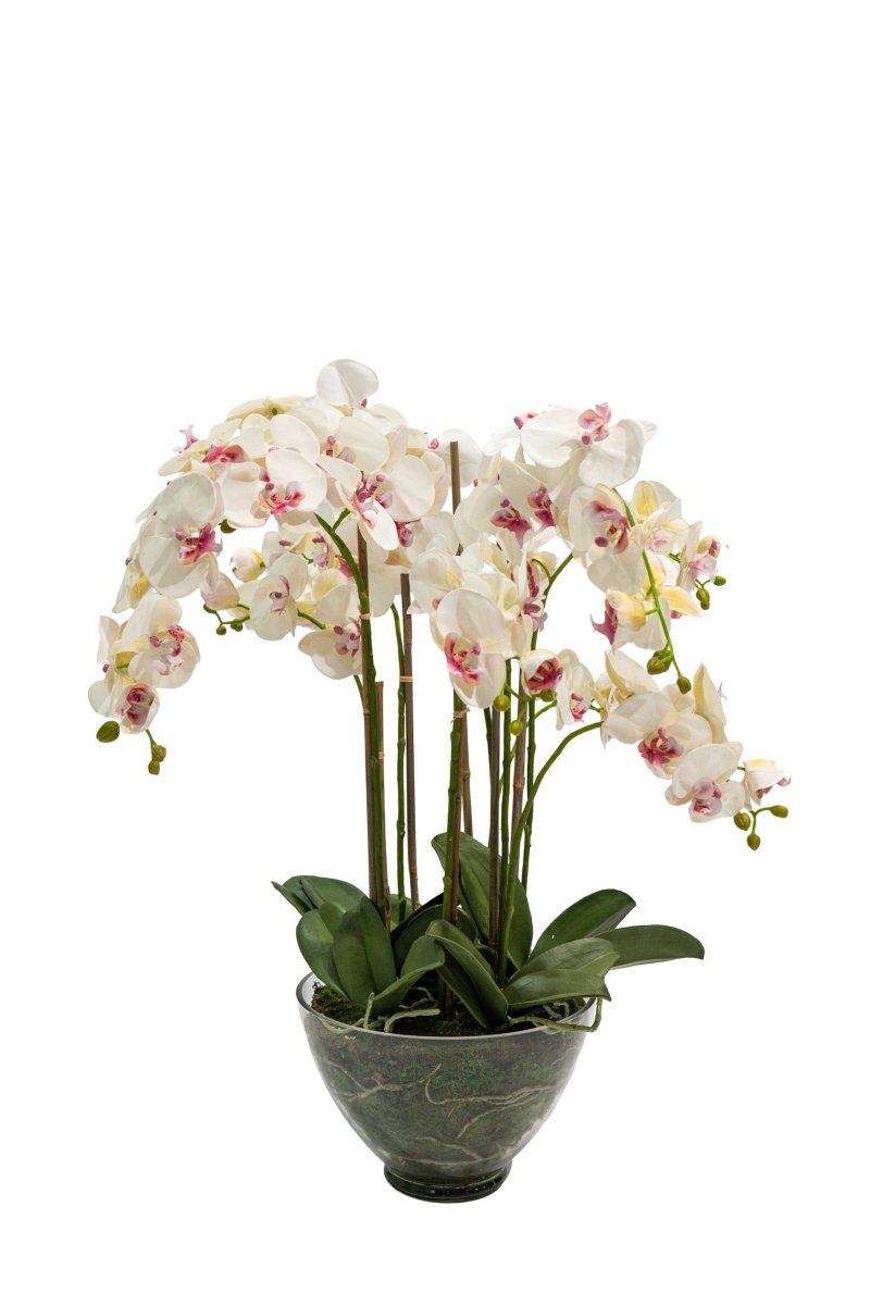 Pianta artificiale in vaso trasparente Orchidea Phalaenopsis h85 cm
