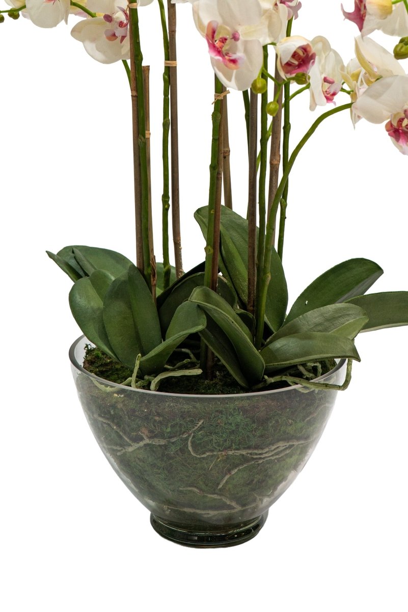 Pianta artificiale in vaso trasparente Orchidea Phalaenopsis h85 cm