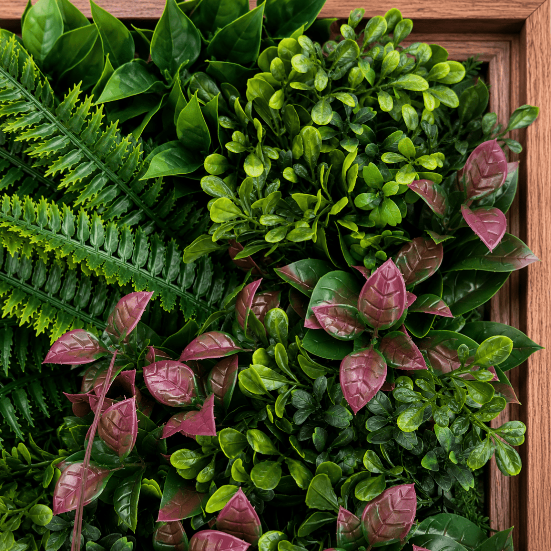 Siepe Quadro Verde Artificiale Decorativo Summer Frame 50x50cm | Xone