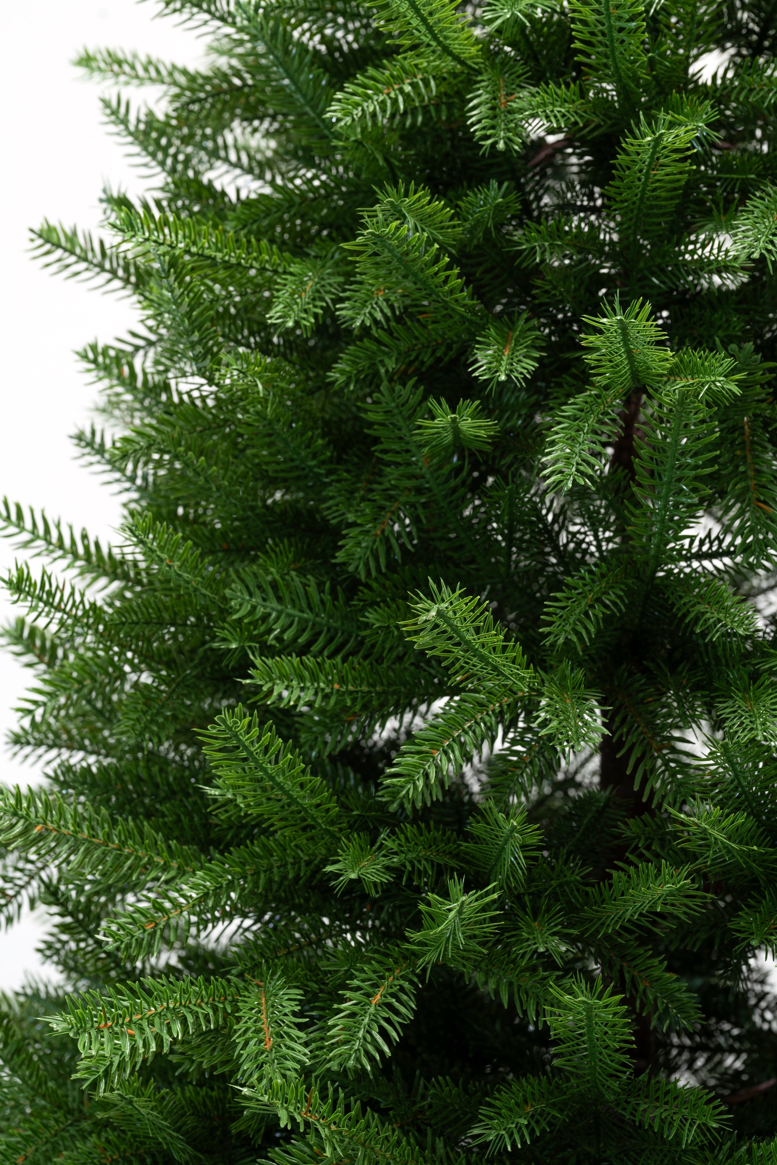 Albero di Natale Queen | Xone