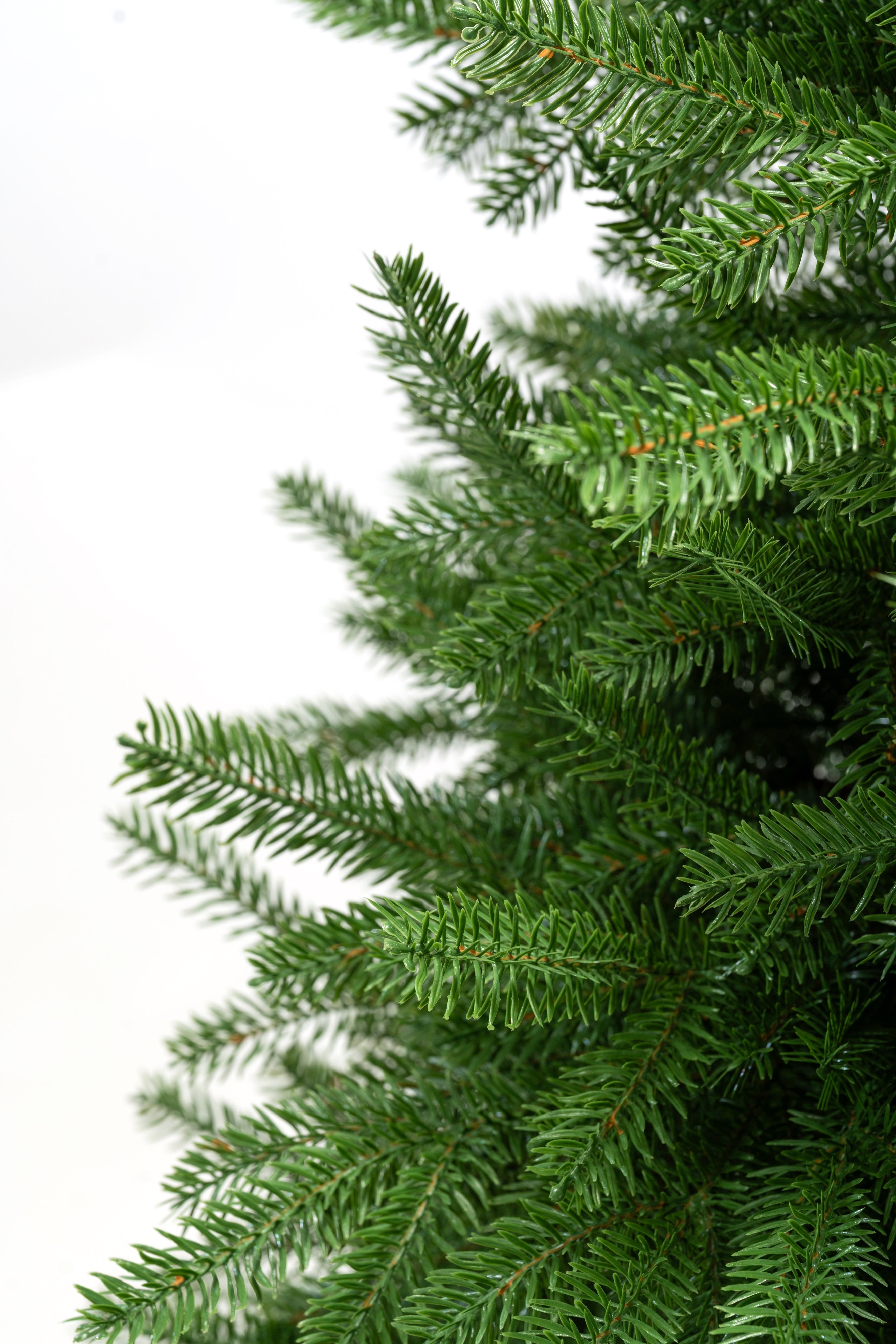 Albero di Natale Queen | Xone