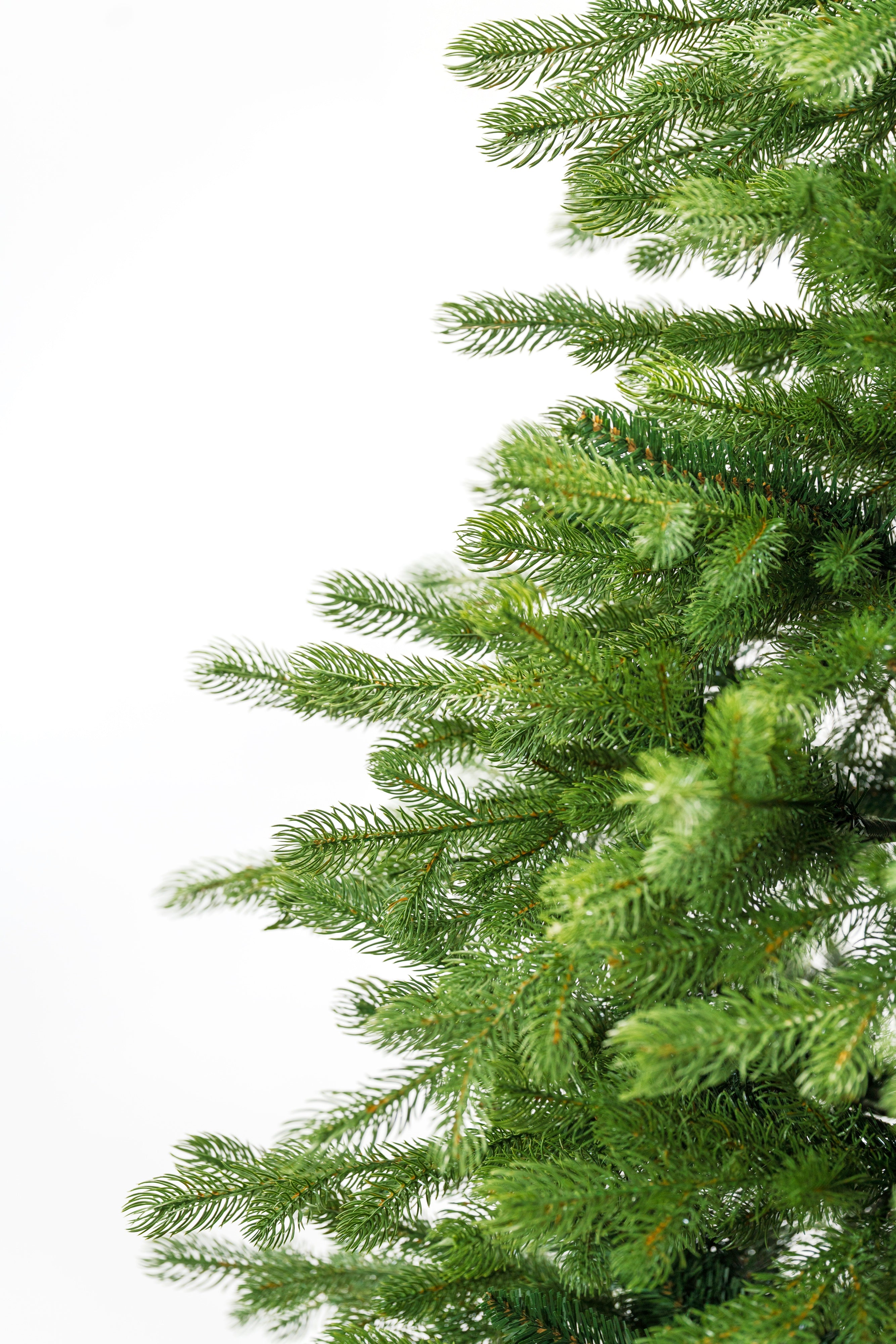 Albero di Natale Bernard | Xone