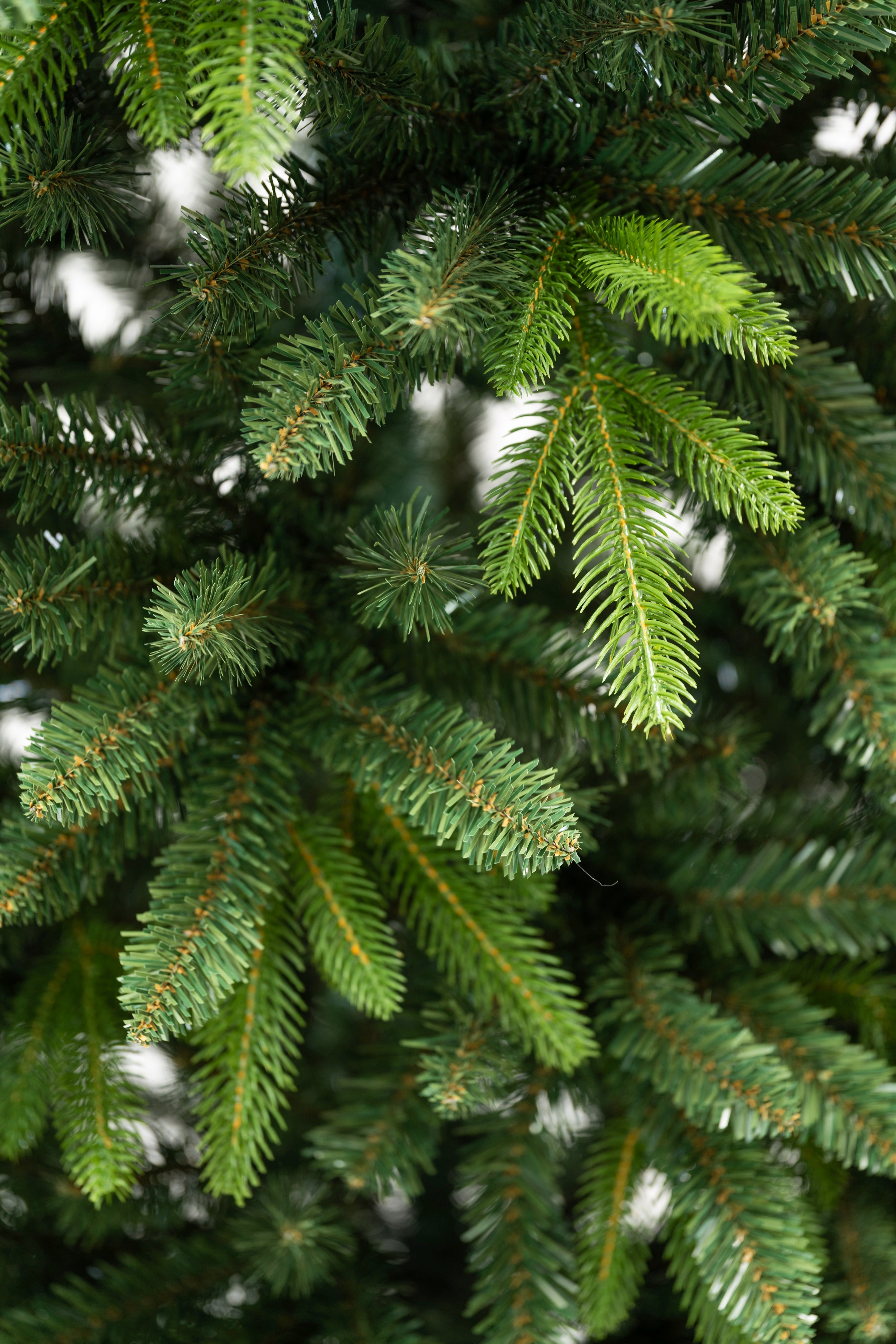 Albero di Natale Luke | Xone