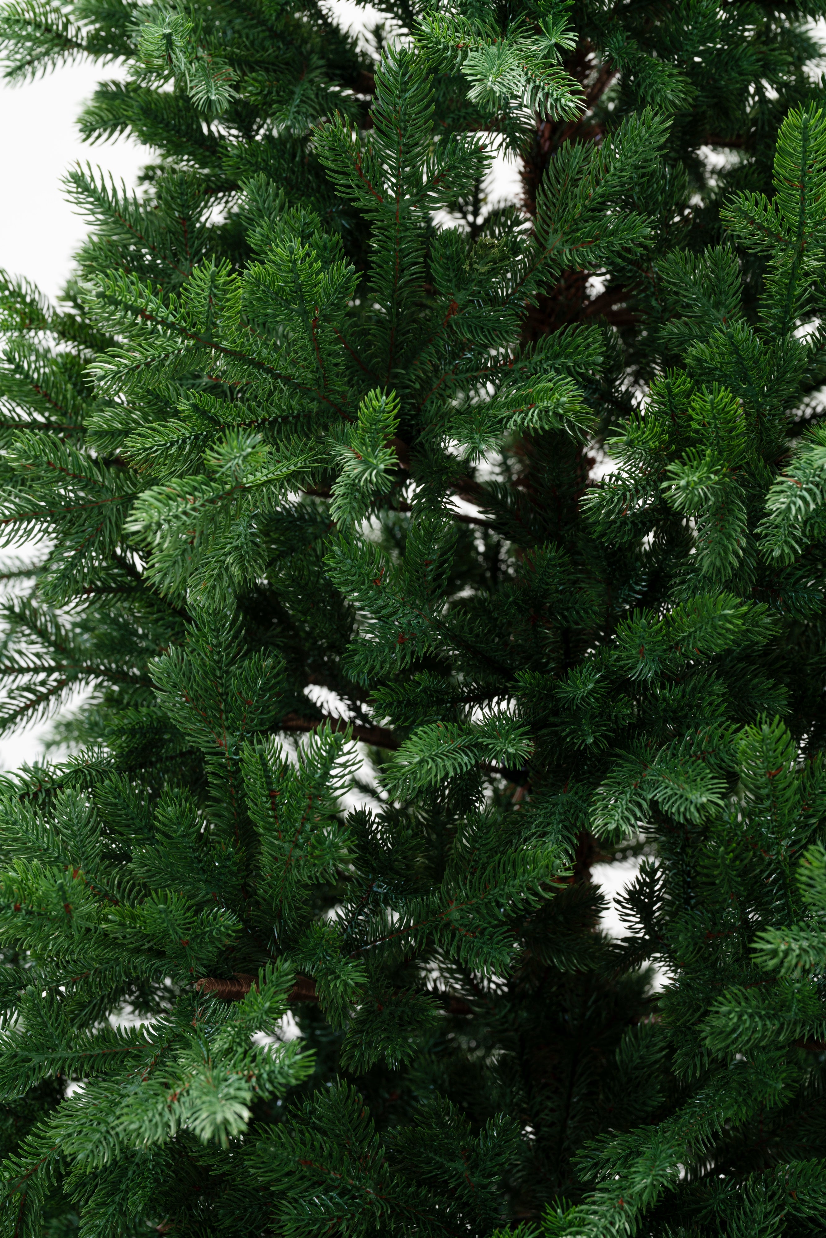 Albero di Natale Connor | Xone