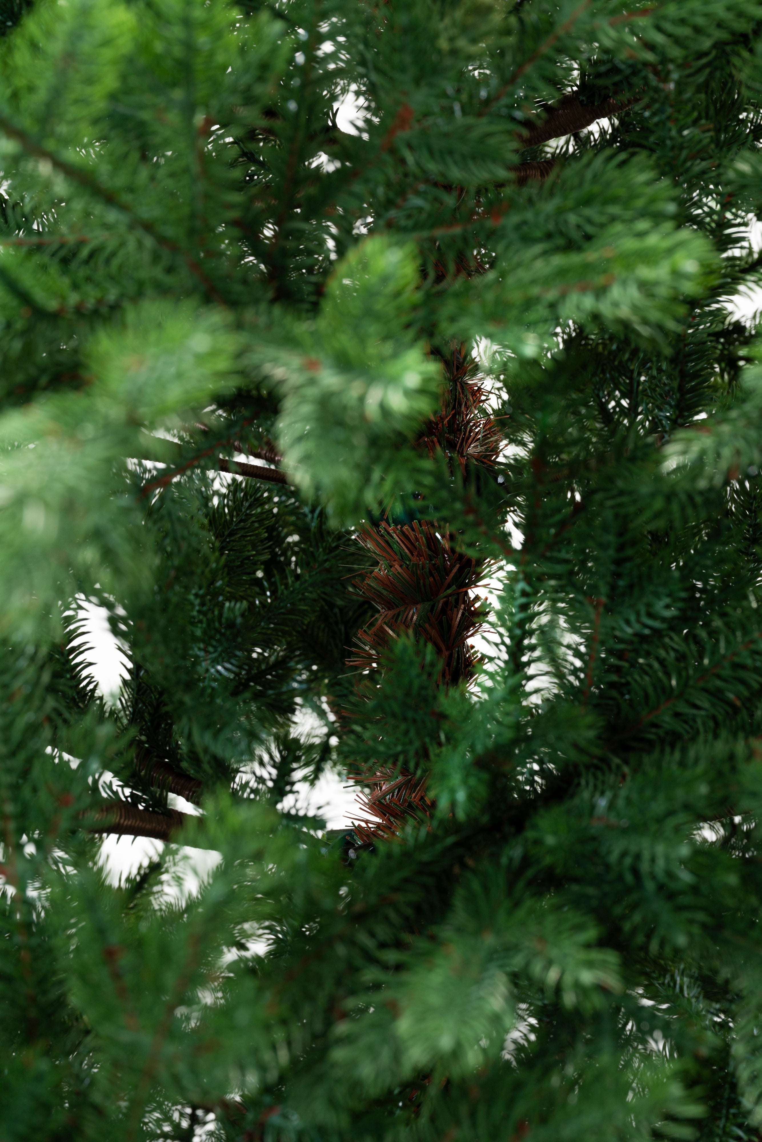 Albero di Natale Connor | Xone