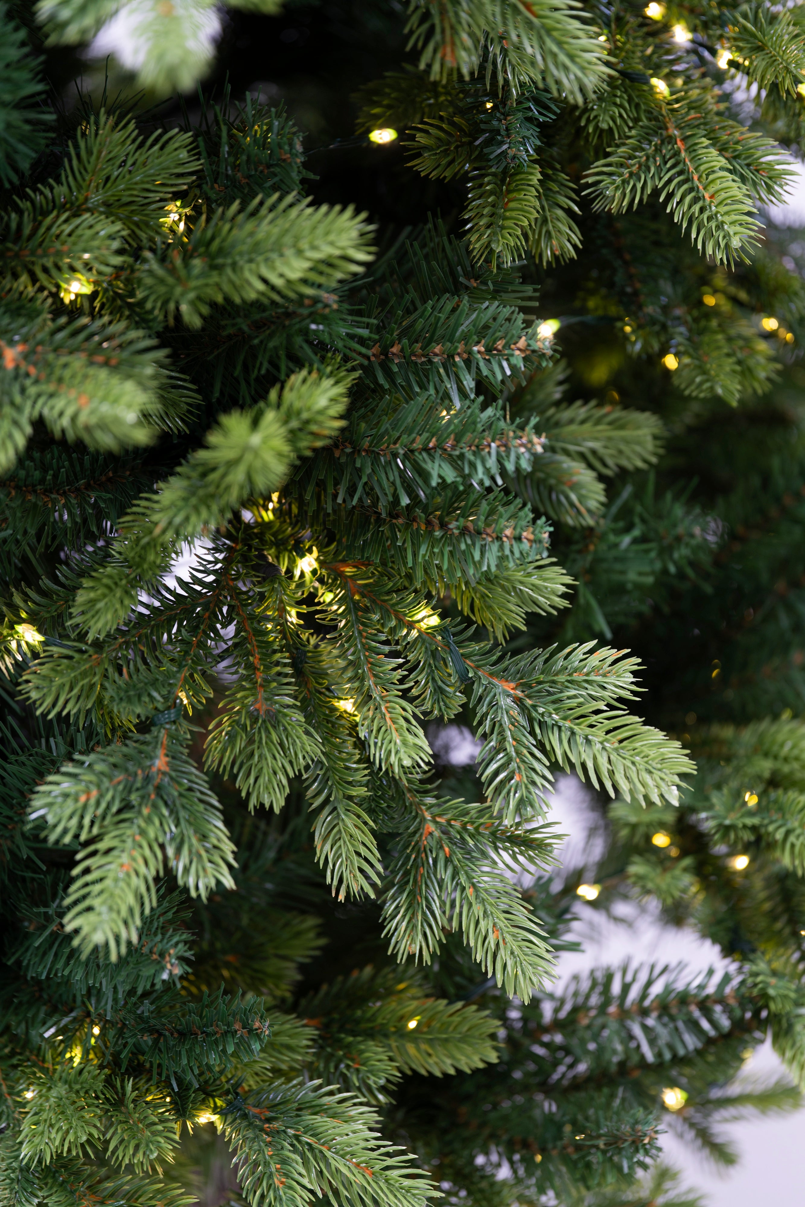 Albero Di Natale Darsy Led Con Tronco Integrato Xone