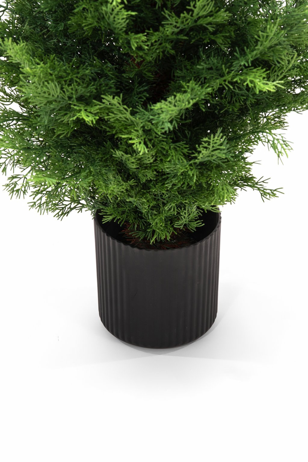 Pinetto Iannik | Xone