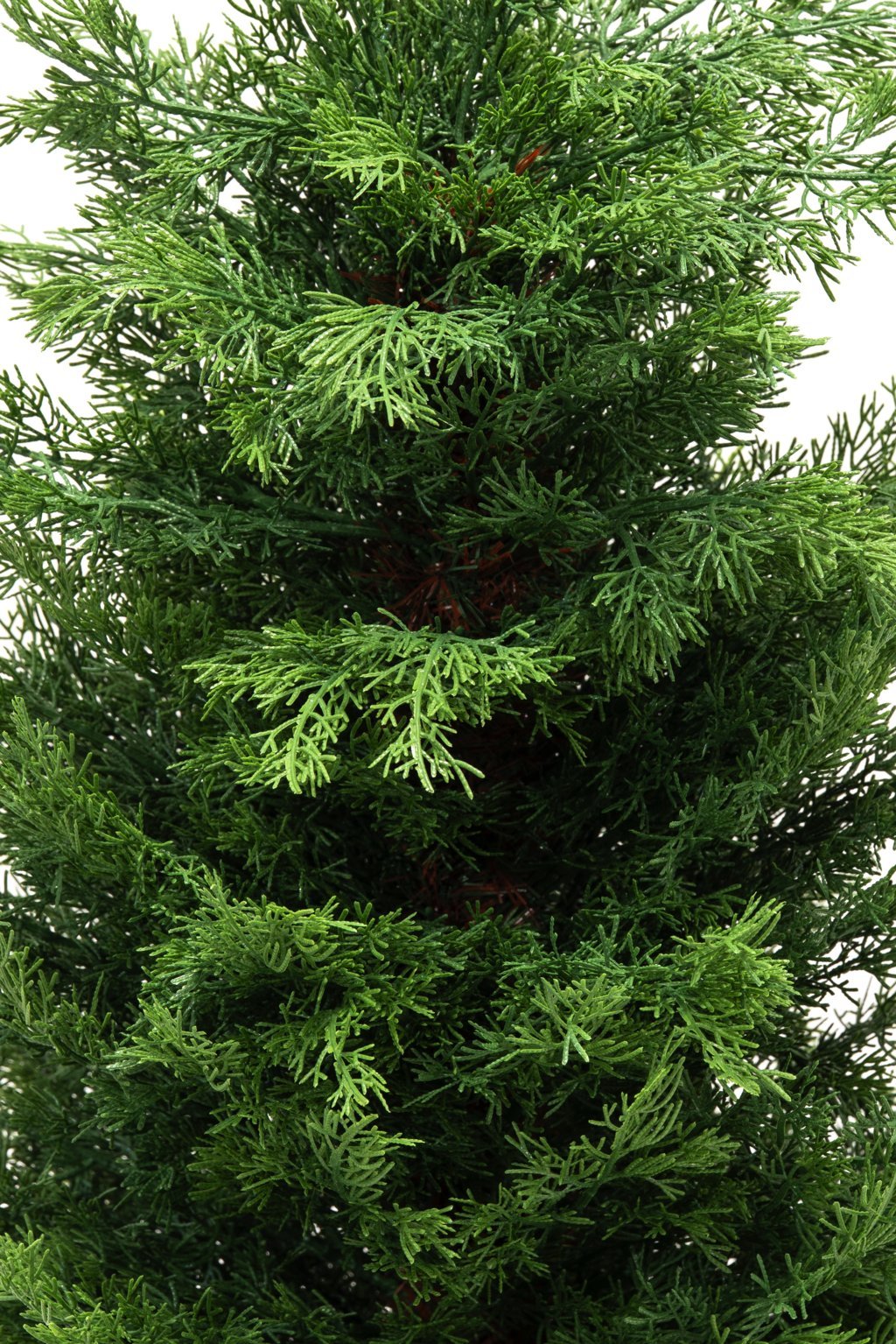 Pinetto Iannik | Xone