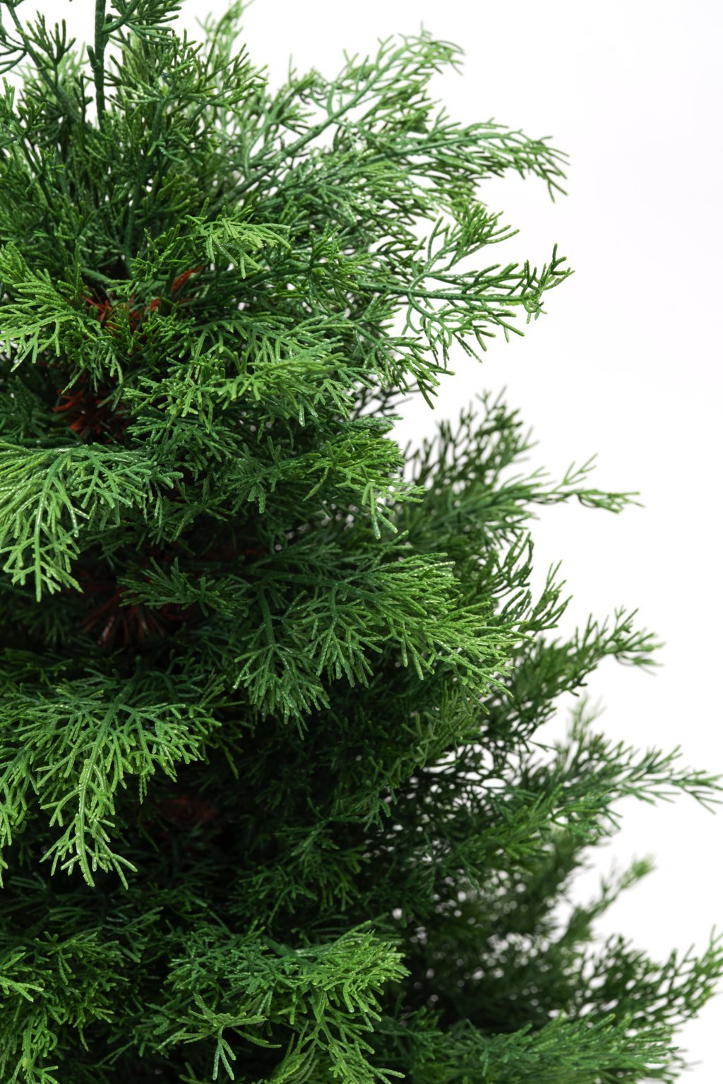 Pinetto Iannik | Xone