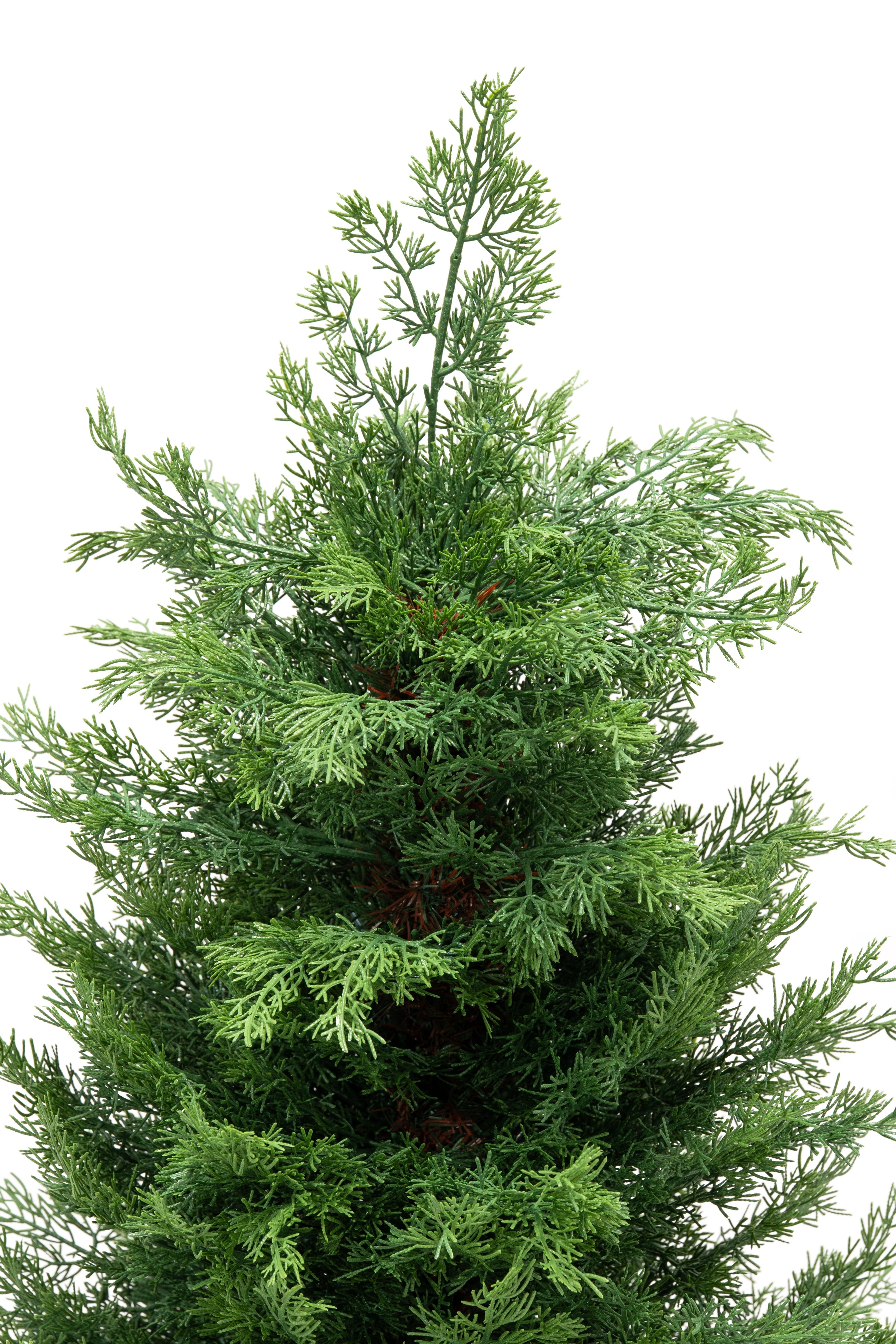 Pinetto Iannik | Xone