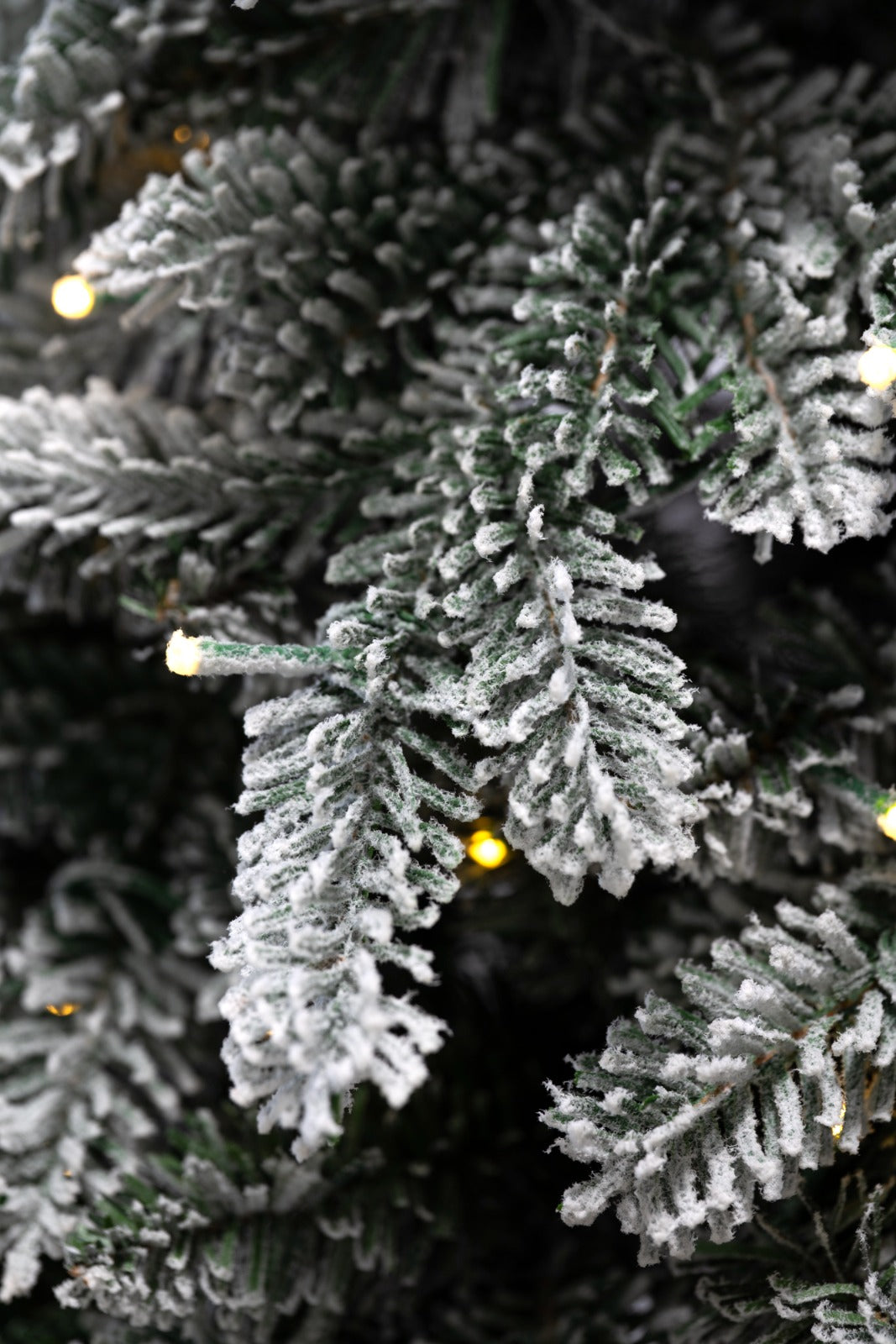 Albero di Natale Scott Innevato con Led | Xone