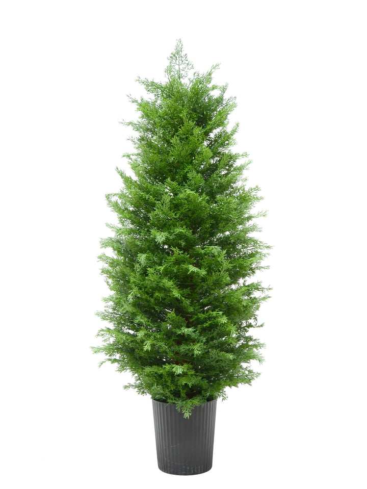 Pinetto Iannik | Xone