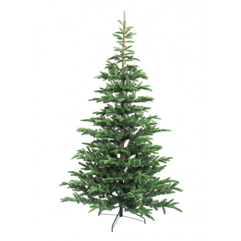 Albero Abete