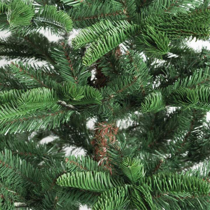 Albero Abete