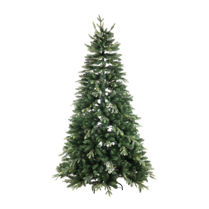 Albero Arthur