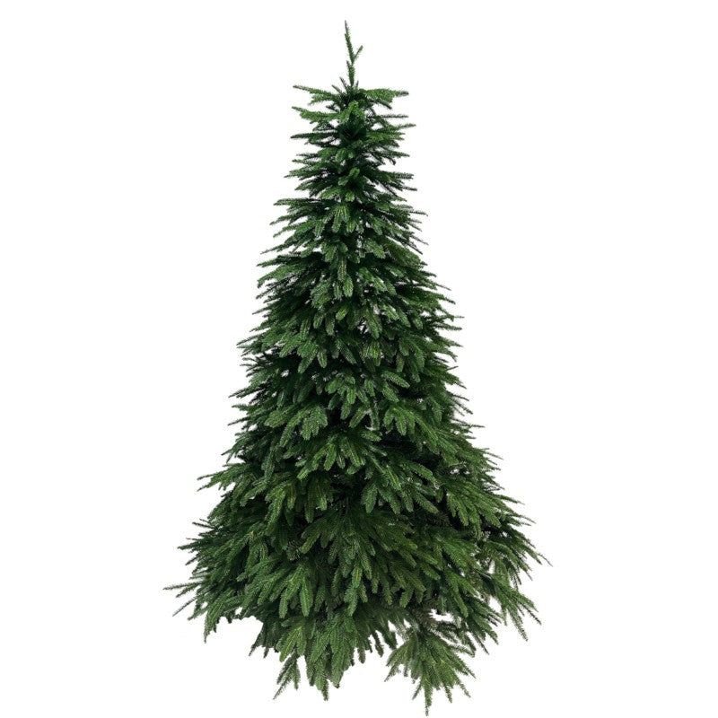 Albero di Natale Baltico | Xone