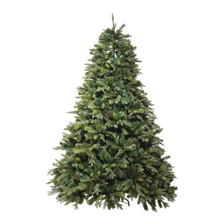Albero Clifford