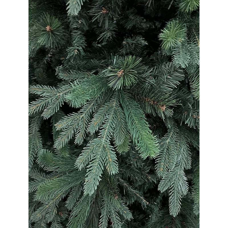 Albero Clifford