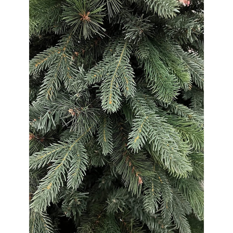 Albero Clifford