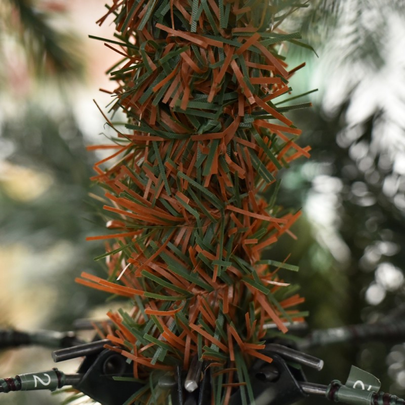 Albero Edward