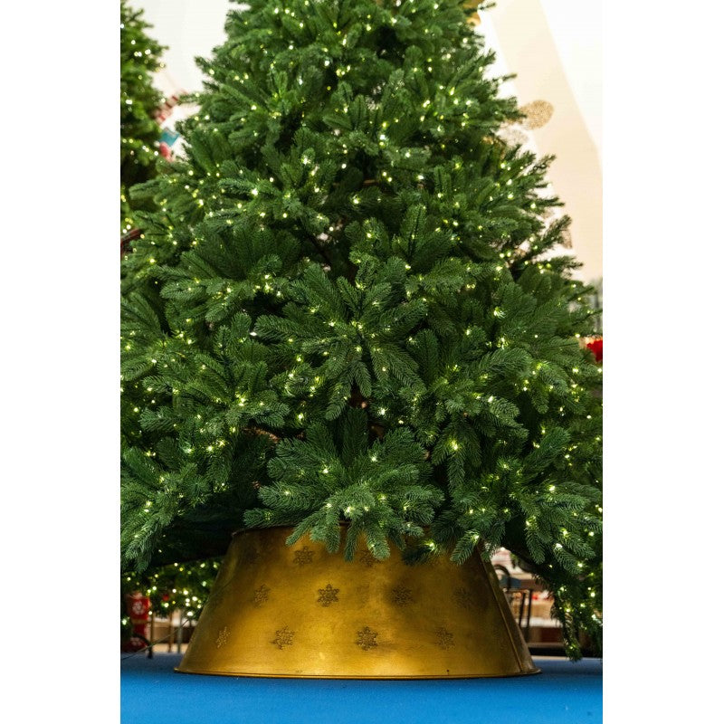 Albero Harrison Led
