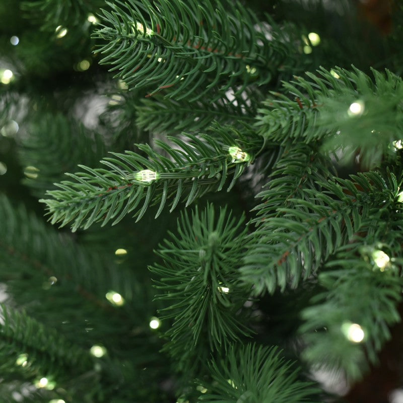 Albero Harrison Led