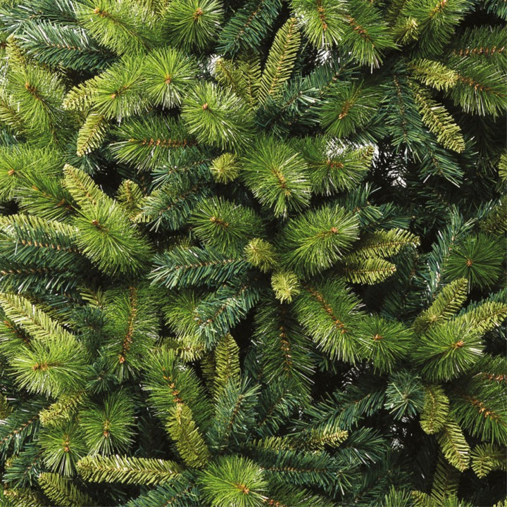 Albero Justin