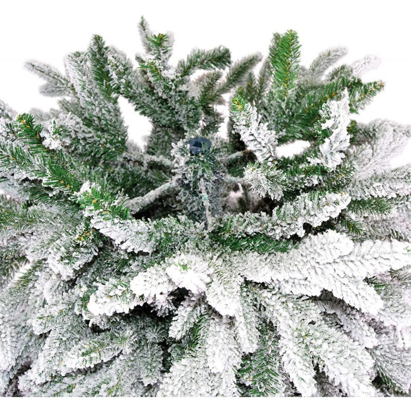 Albero Kennedy Innevato