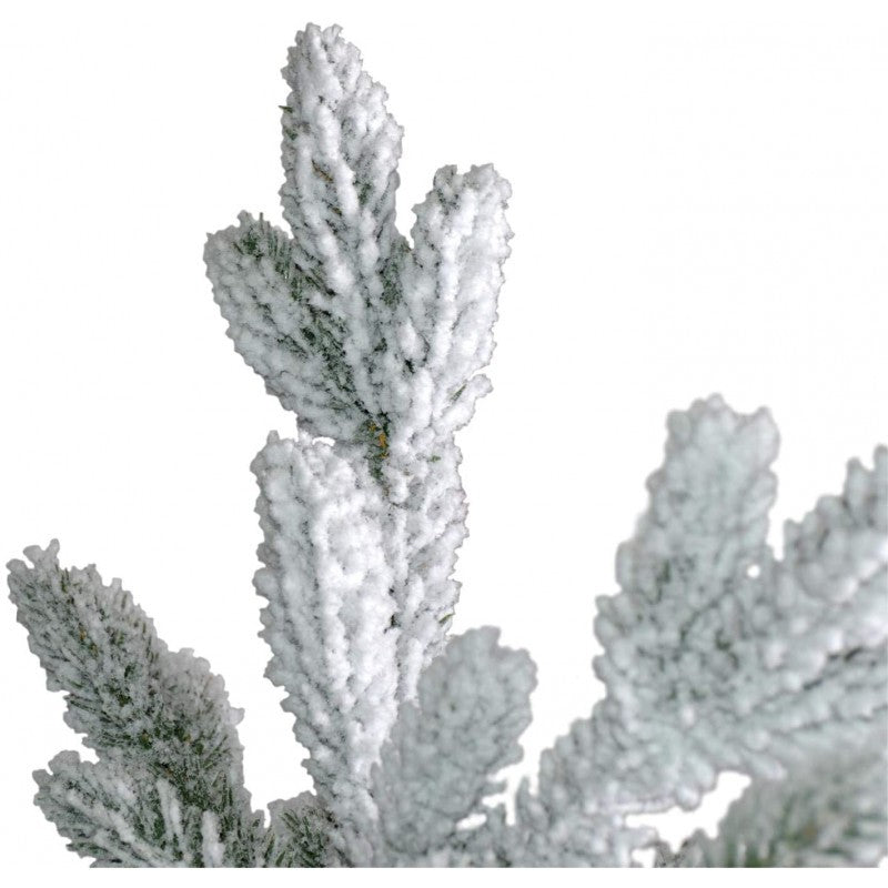 Albero Kennedy Innevato