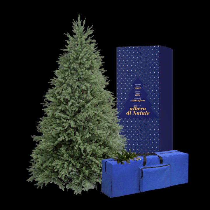 Albero Lincoln