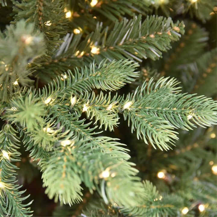 Albero Madison Led