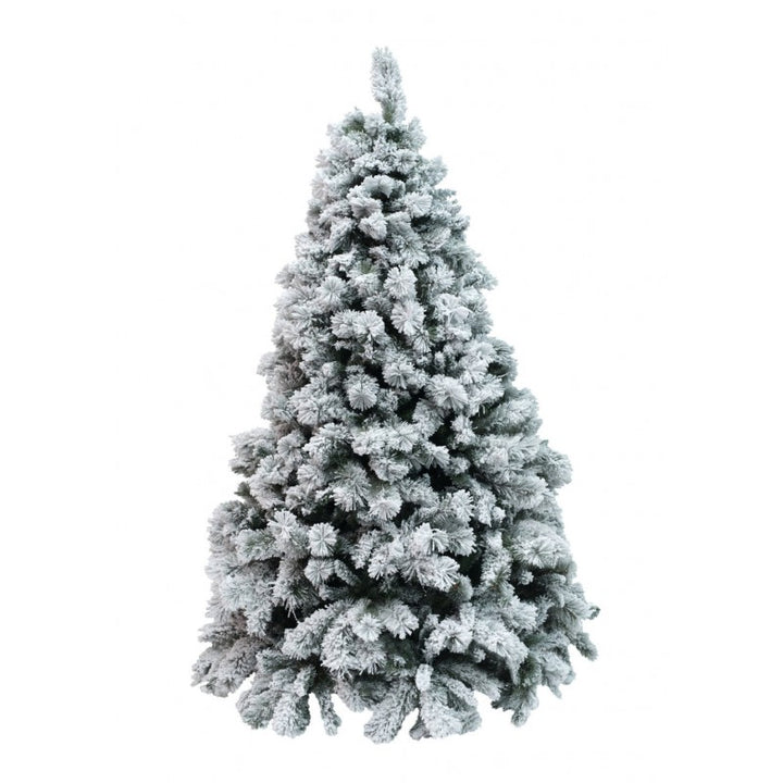 Albero Milton Innevato