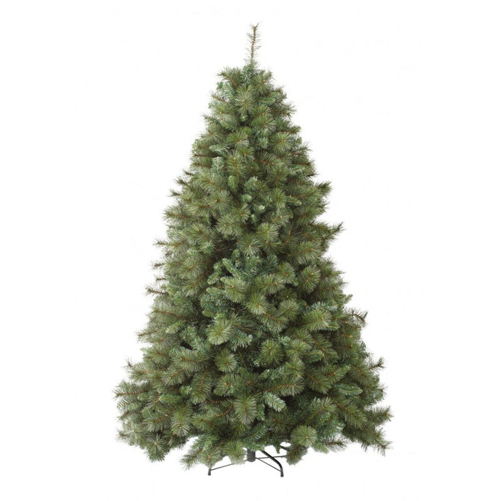 Albero Milton