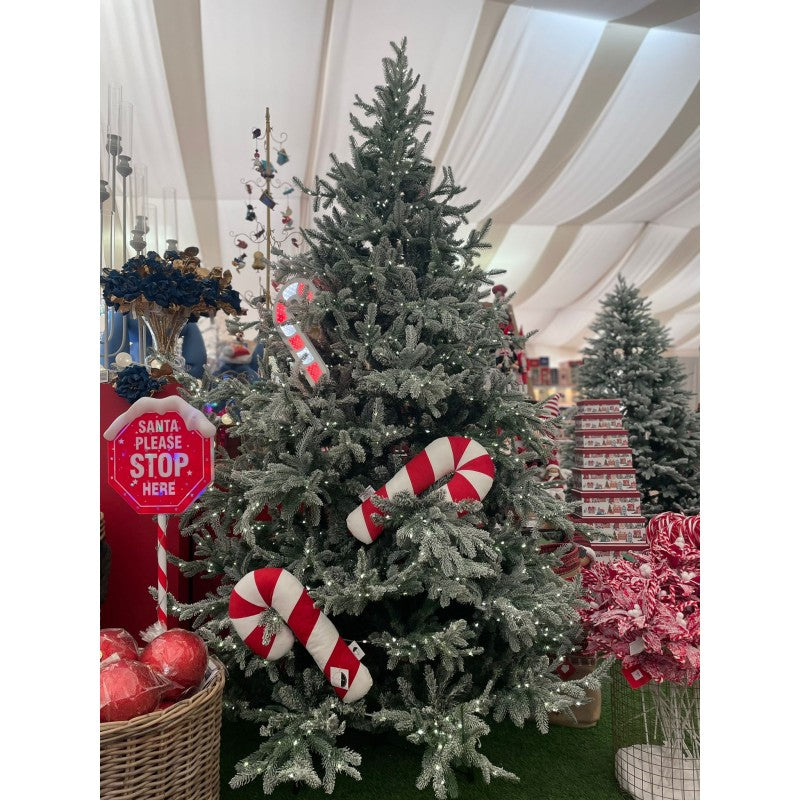 Albero di Natale Nicolai Innevato Led | Xone