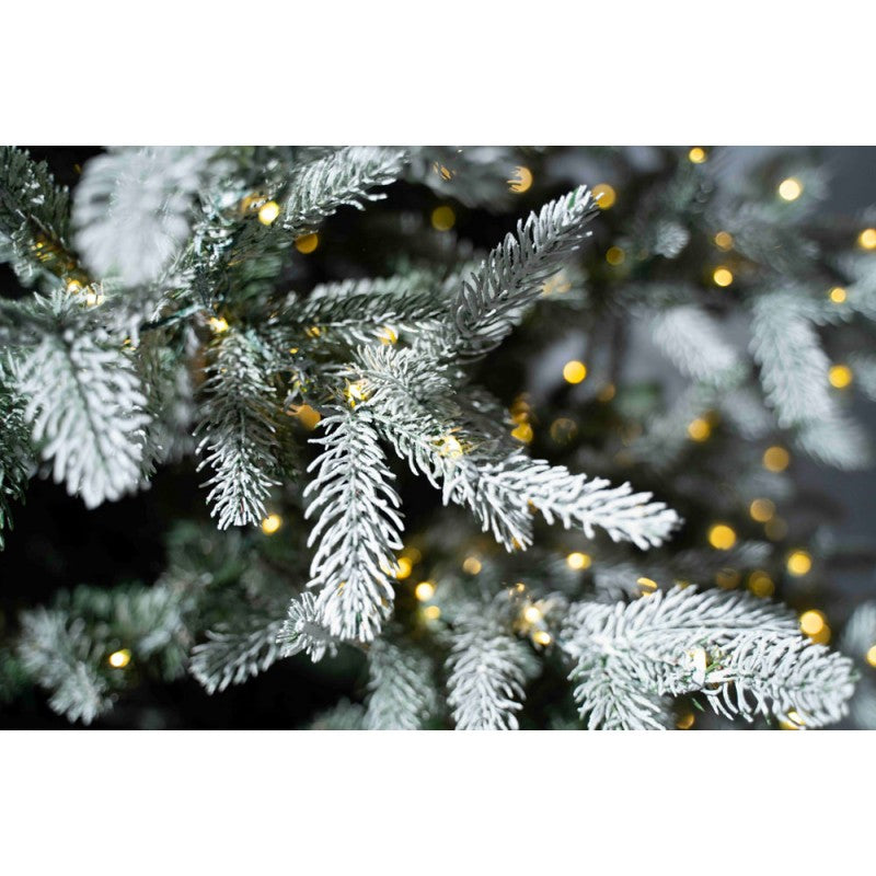 Albero di Natale Nicolai Innevato Led | Xone