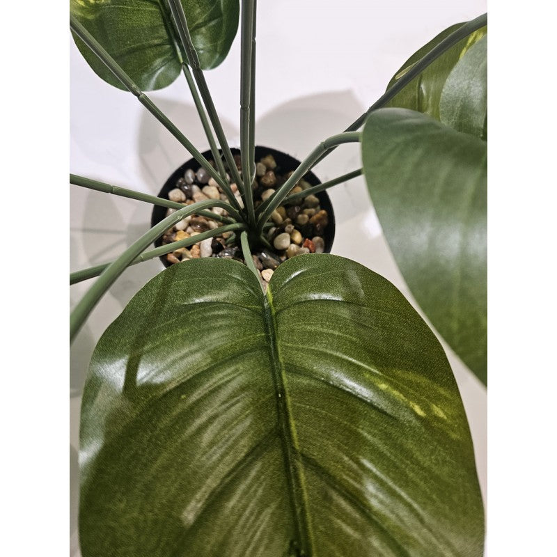 Pianta Artificiale Sterlizia 50cm