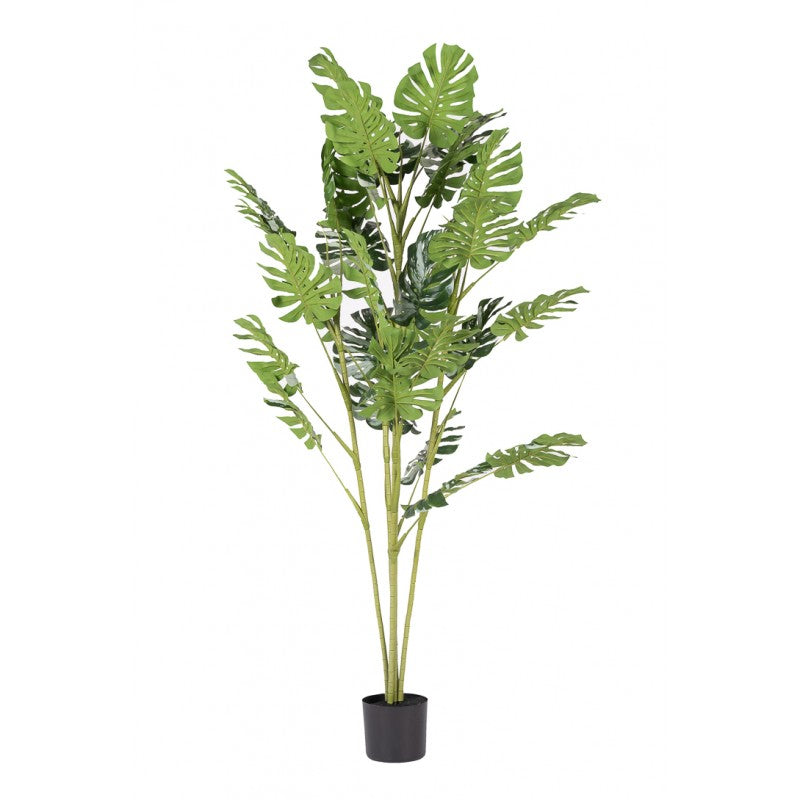 Pianta artificiale Monstera 160cm