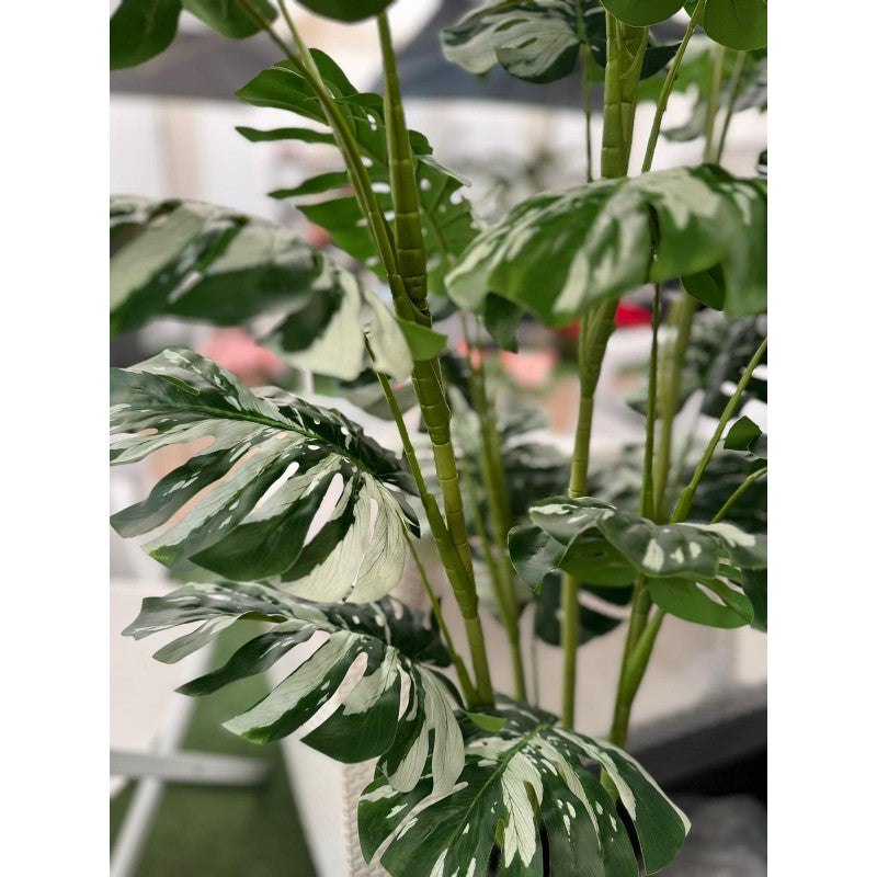Pianta artificiale Monstera 160cm