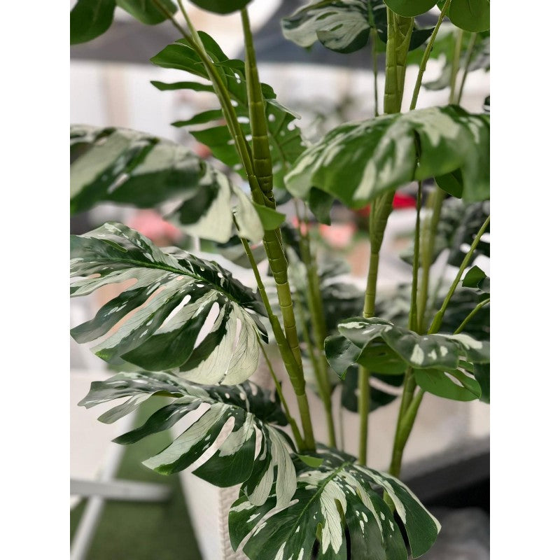Pianta artificiale Monstera 160cm
