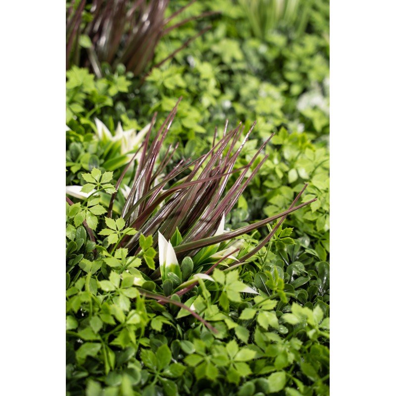 Siepe artificiale100x100 cm  Ecuador Xone